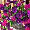 Artificial Flowers Morning Glory Room Decoration Uv-Resistant Hanging Plants Wedding Garden Christmas Party Decoration Fake Flower