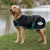 Weatherbeeta Green-Tec Plus leichter Hundemantel