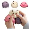 Jouets Lents Pour Réduire le Stress, Jouets à Pincer Pour Animaux, Soulagement de l'Élasticité Animale, Convient Pour un Usage Quotidien et Comme Cadeau Pour les Adolescents