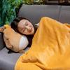 PP Cotton Filled Capybara Throw Pillow 3-in-1 Warm Blanket Cute Cartoon Hand Warmer  Gift Giving