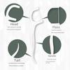 50-Piece Disposable Polymer Dental Floss Sticks Toothpick Box