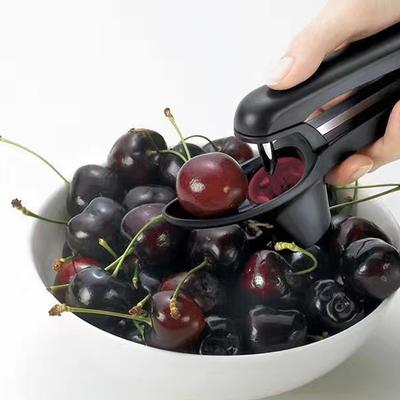 Kirschentkerner Werkzeug Frucht Küche Entkerner Entferner Olivenkernentferner