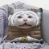 Frieren Memes Funny  Home Sofa Cushion Covers and Aecorative Custom Pillow Covers