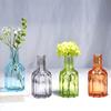 Nordic Retro Glass Vase - Mini Decorative Hydroponic Bottle for Living Room Decor