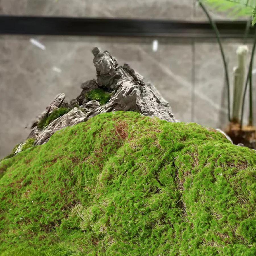 Artificial Green Moss Decor for Indoor Plants and Micro Landscapes