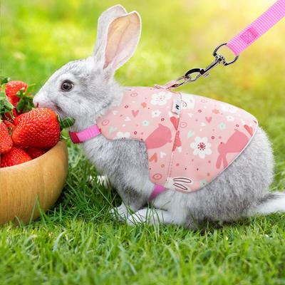 Produtos para animais – Roedores