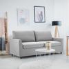 2 Seater Sofa with Removable Sofa Covers Double Seat Small Sofa Two Seater Couch Modern Living Room