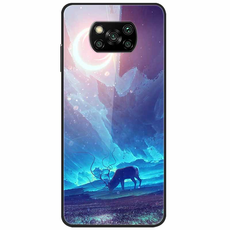 Etui na Poco X3 Pro Modne Urocze Szkło Hartowane Luksusowe Pokrowce Coque dla Xiaomi Poco X3 NFC Etui PocoX3 X 3 Zderzak Ochronny
