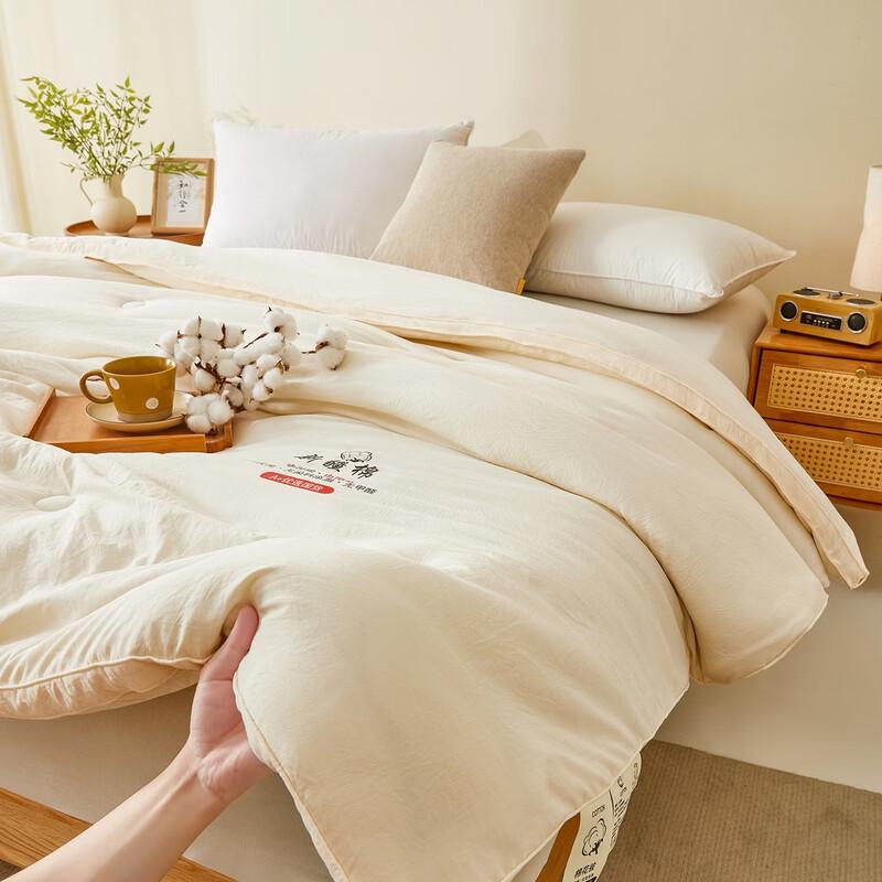 Brangdy Thick Warm All-Season Quilt