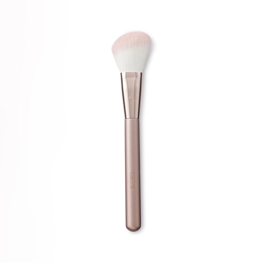 

Daily Touch Blusher Brush