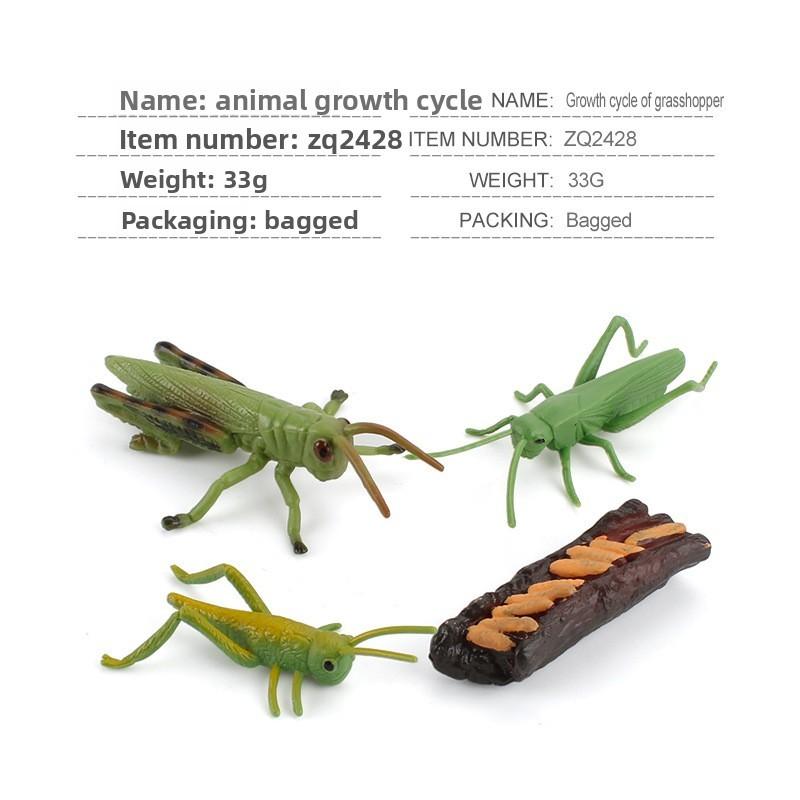 Realistic Pvc Insect Bees Spiders Model Set For Science Education And Collection Display