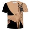 Summer Round Neck Animal Dog Pattern 3D Print Top Fashionable Casual Short Sleeved Men's T-shirts