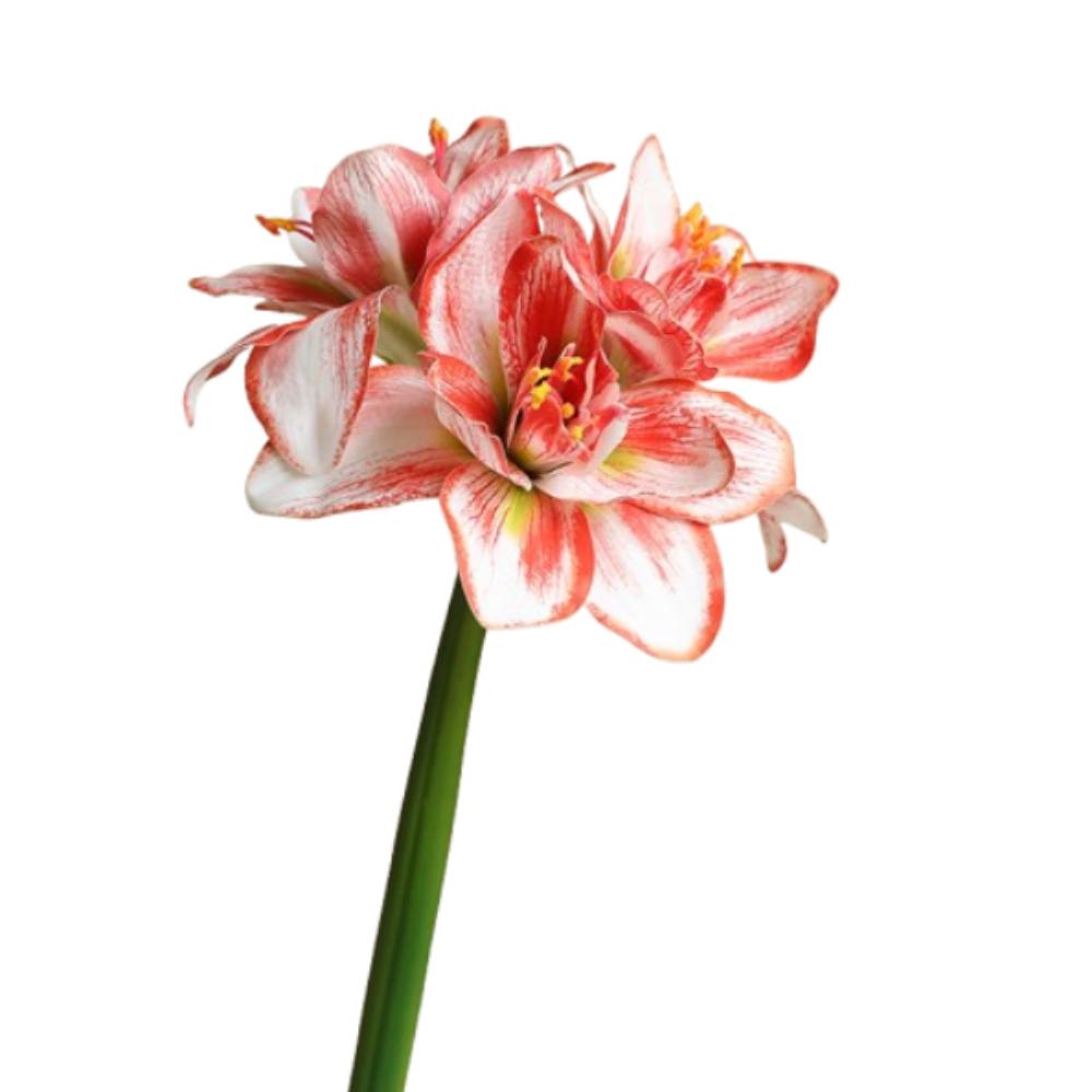 

63cm Artificial Clivia Flowers Branches Lifelike Simulated Green Plants Living Room Desktop