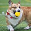 Squeaky Dog Tennis Ball Dog Chew Toy Fetch Ball Interactive Dog Training Toy for Outdoor Fetch Toss-and-Catch Game
