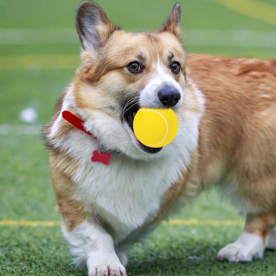 Squeaky Dog Tennis Ball Dog Chew Toy Fetch Ball Interactive Dog Training Toy for Outdoor Fetch Toss-and-Catch Game