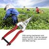 Plant Pruning Tool Made of Stainless Steel Sturdy / Durable Sharp Gardening Scissors For Fruit Tree / Bonsai Care