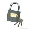 Iron Padlocks - SILVERLINE - Padlocks - Iron, Brass, Steel - Keyed - 3 Keys