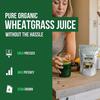 250g Organic Barley Grass Powder Gluten Cold-Juiced and Low-Temperature Dried