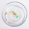 Dinosaur and Marine Animal Expanding Capsules - Educational Bath Toys for Kids, Inspired by TikTok