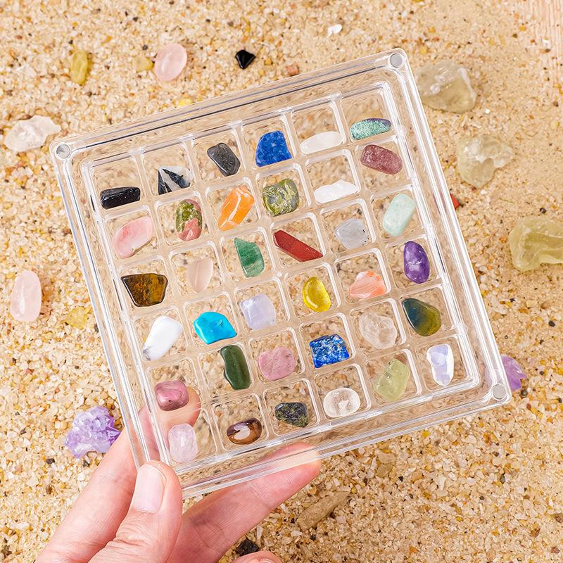 With shell specimen box, natural conch shell specimen, square, transparent, seaside miniature stone, specimen display