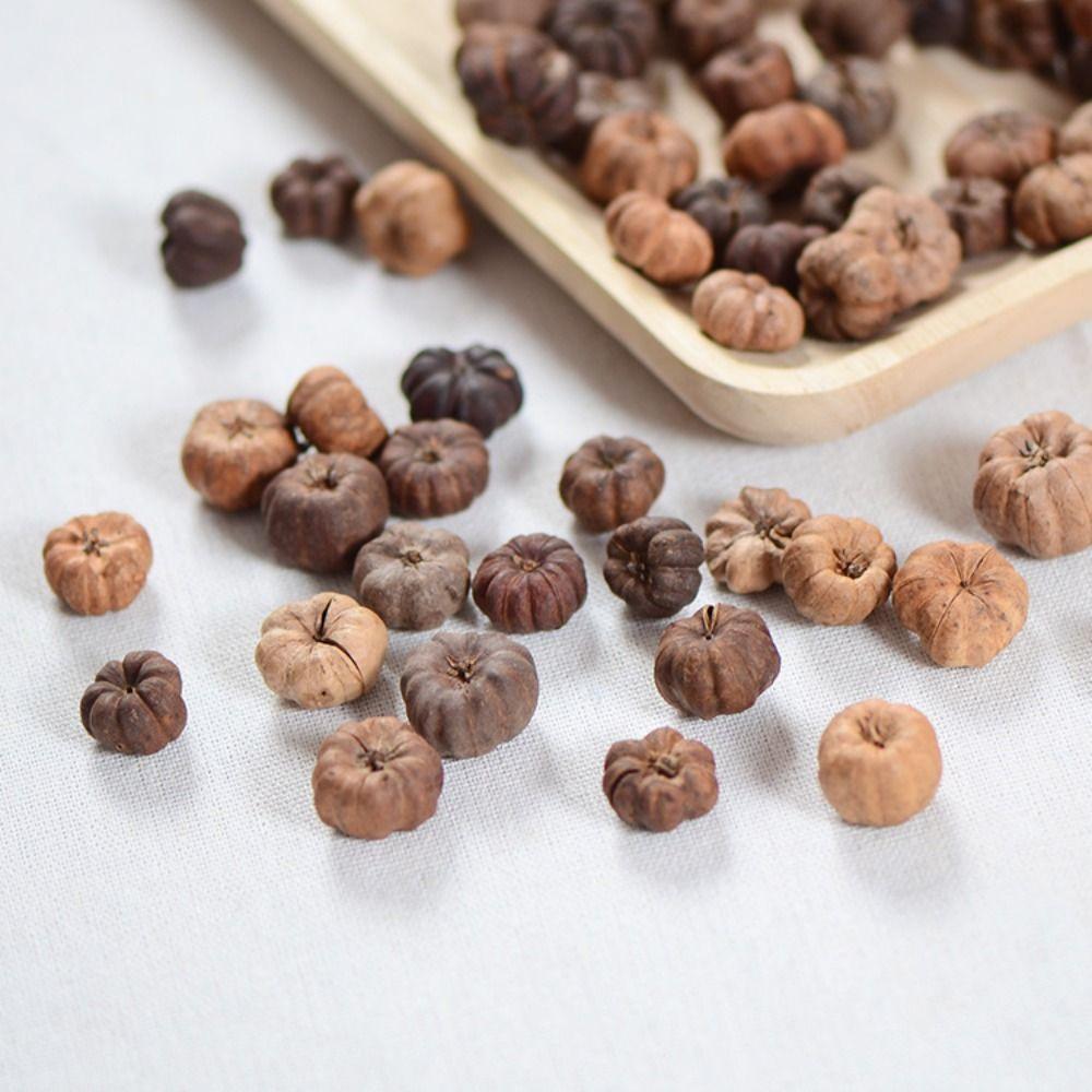 15pcs Dried Vegetables Dried Mini Pumpkins Dried Fruit Halloween Mini Pumpkins  Party Decoration