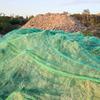 Thickened Green Sunshade Net