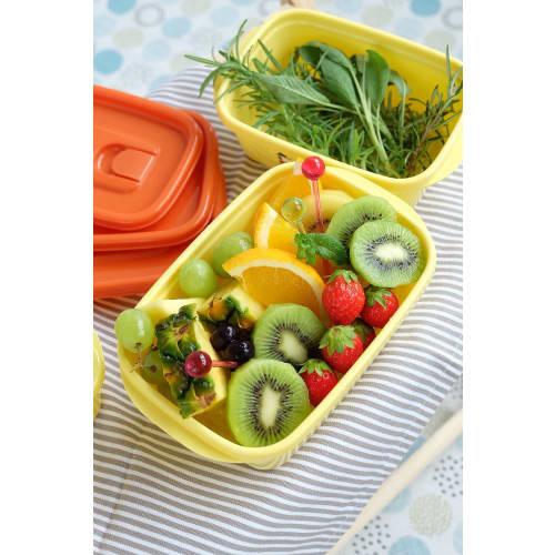 Iwasaki Industries Snoopy Storage Container with Flap, 940 (Set of 2)