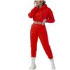 Women's Casual Solid Color Long Sleeved Hoodie Trousers Sweatershirt Sports Suit