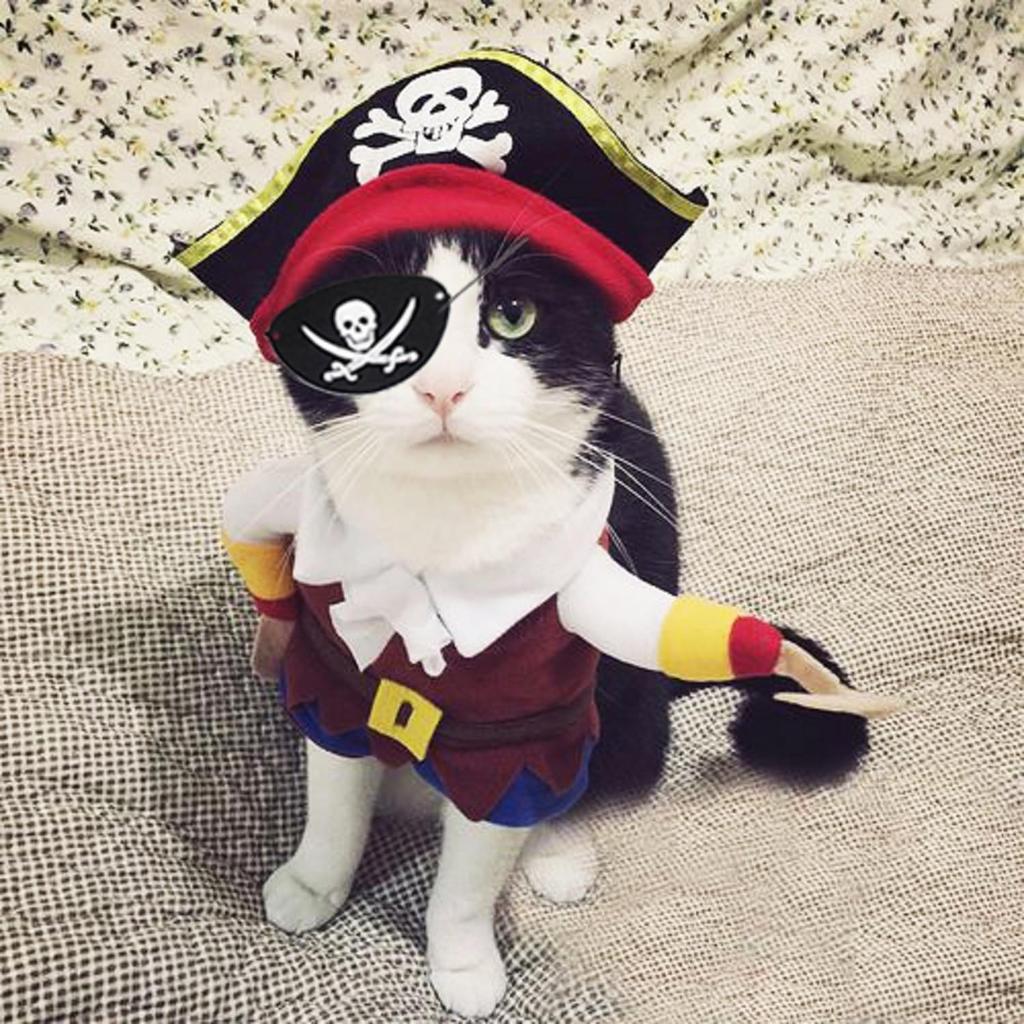 Cat Pirate Costume - Pet Hat, Skull Triangle Bandana, Halloween for Dogs Cats With Captain Headwear and Party Necklace