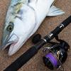 [Varivas] Avani Casting PE SMP Hiramasa Tune X8 200m 8 Viola