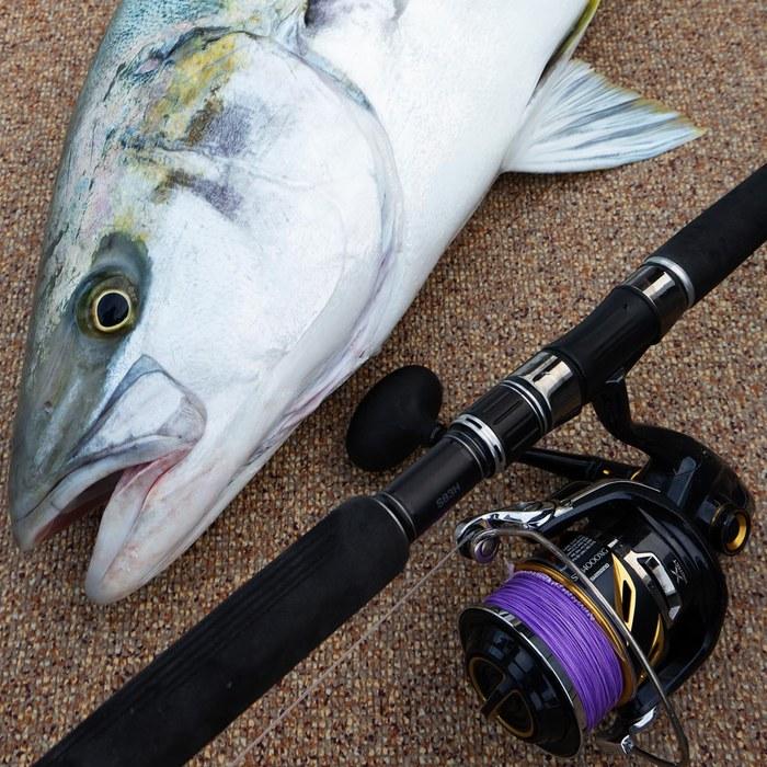 [Varivas] Avani Casting PE SMP Hiramasa Tune X8 200m 8 Viola