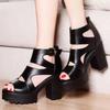 2024 Spring Summer New Women's High Heels Sandals Thick Soles Wedges Hollow Out Roman Shoes Comfortable Stylish
