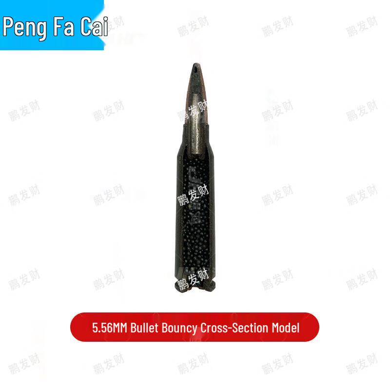 Pengfacai 5.56mm Rifle 1