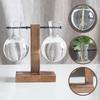 Hydroponic Vase with Wooden Stand Retro Glass Bulb Plant Propagation Station for Home Decoration 2 Containers
