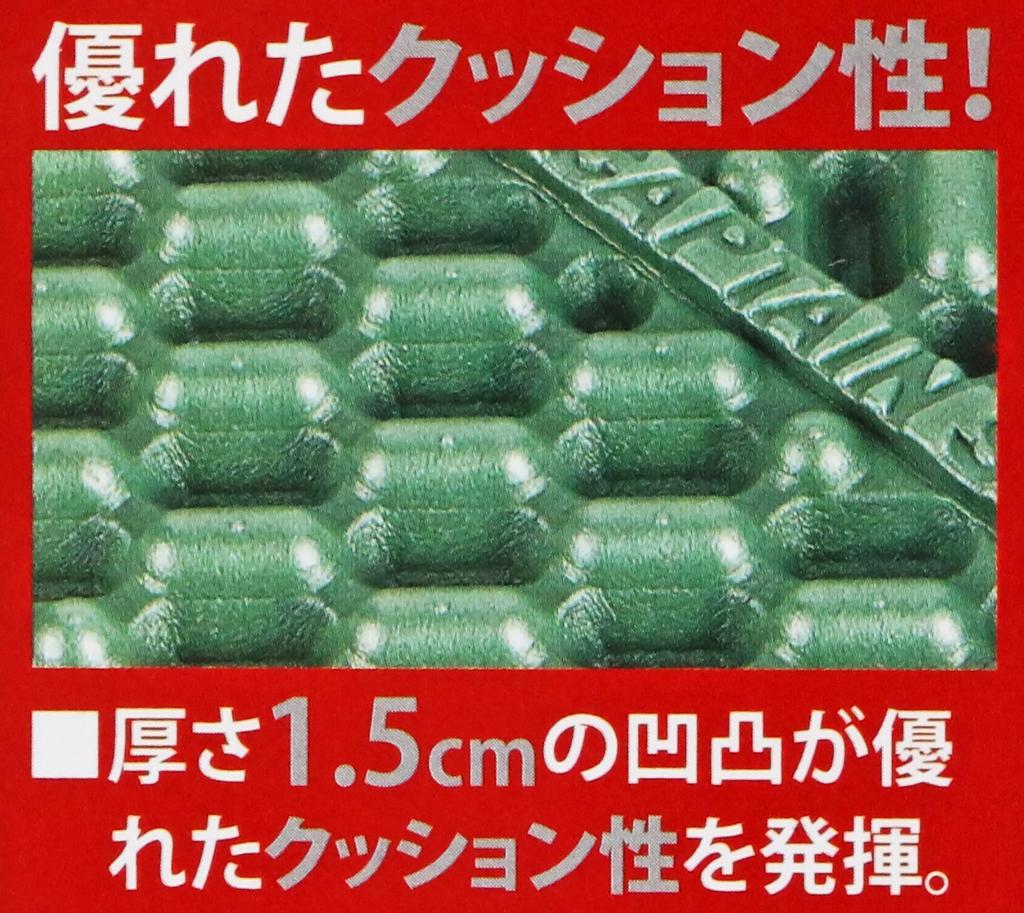 CAPTAIN STAG EVA Foam Mat Double 140 X 217cm UB-3001