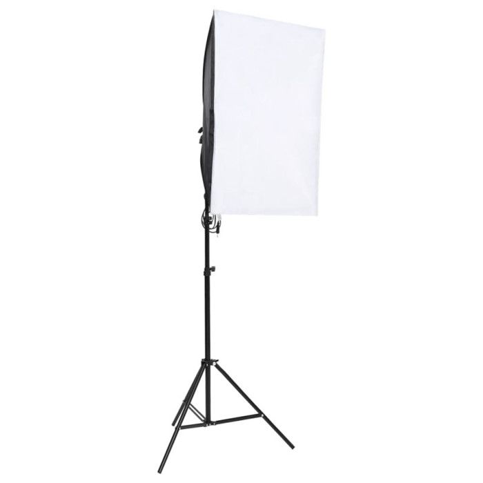 VidaXL Photo Studio Kit with Lighting and Backdrop Photography Light Background System Kit 3094744