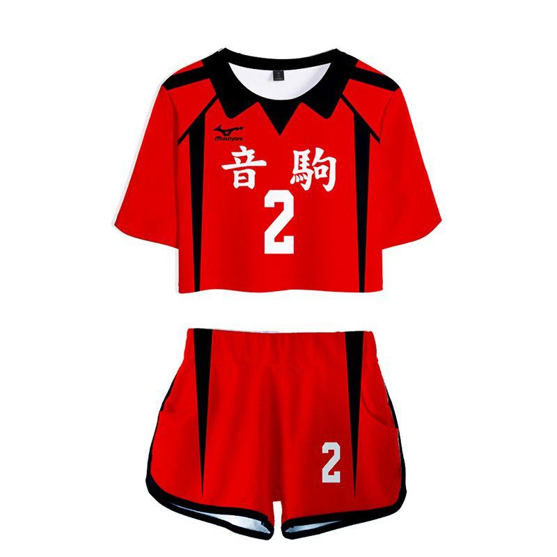 Vibrant Haikyuu Karasuno Nekoma High School 3d Printed Women Costume Comfortable Short Sleeve Tshirt And Shorts