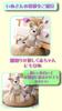 Product with Gift First Toy Bear Plush Toy with Photo Inspected in My Baby List Gift JP-SAKURA [Authentic Wrapping] Set, Japan, (Dog)