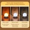 Dimmable touch light rechargeable remote control night light RGB16 color/tri color desk lamp bedroom living room ambient light