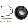 Carburetor Repair Rebuild Kit for Polaris Trail Boss 330 325 Trail Blazer 330 Hawkeye 300 400 Worker 335 500 1999 Polaris Xplorer 500 1997 ATP 330