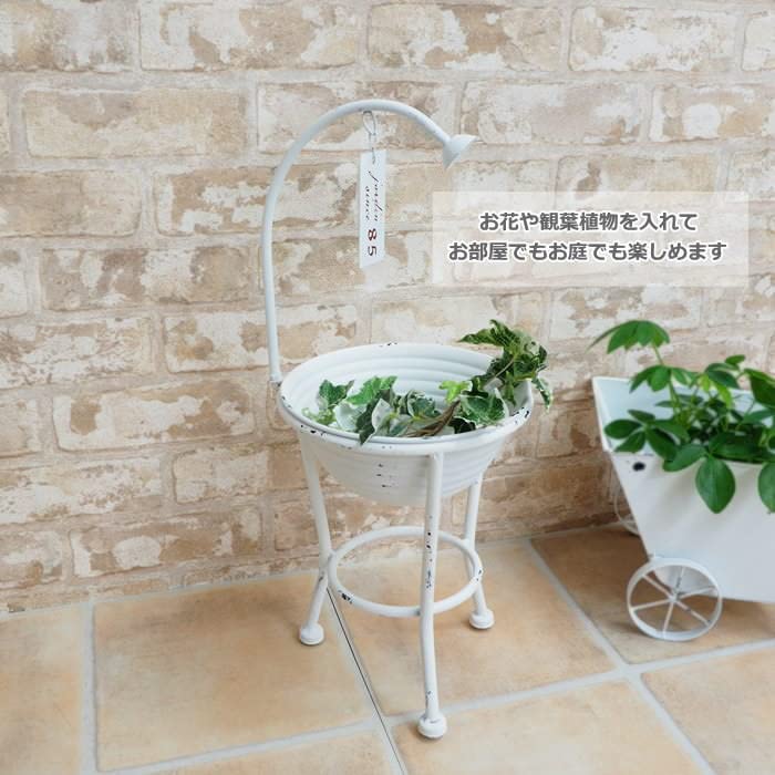 Plato de Ducha Blanco 7061