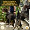 1PCS Outdoor Dog Vest Dogs Harness Tactical Train Coat Medium Large Dogs Vests Chest Strap Bungee Leash Lead Training Running