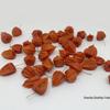Red Berry Physalis Dried Flower for Christmas Decoration