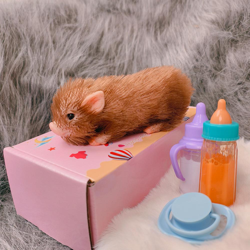 Eco-friendly Silicone Hedgehog Stress Relief Toy Set