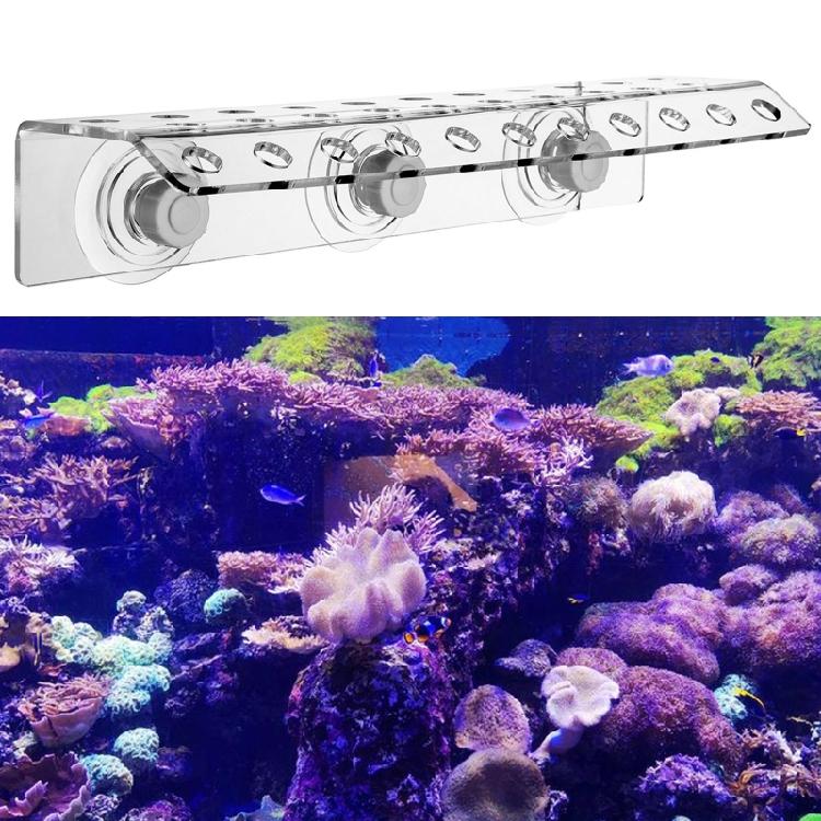 Acrylic Coral Frag Rack for Aquarium Powerful Suction Cup Holds Up To 32 Plugs