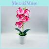 Artificial Phalaenopsis Aphrodite Plant With Silk Flowers For Home Decor And Gift Idea