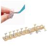 Nail Display Stand Manicure Tool Wave Edge Wooden Base Magnetic Nail Practice Stand with 10pcs Stands