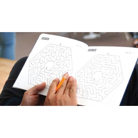Brain UP Extreme Maze Set, Korean Popular Puzzles