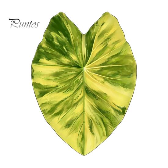 Tropical Plant Refrigerator Magnets 3D Plants Magnet, Acrylic Green Decorative Fridge Home Decor Memo Notes Photo Holder for Kitchen Office