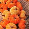 40Cm Artificial Cloth Pumpkin Wreath Indoor Outdoor Front Door Wall Hanging Fake